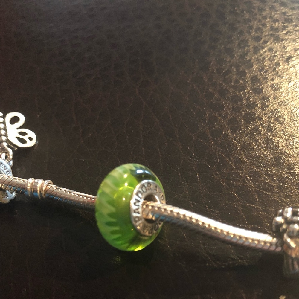 Pandora Charm